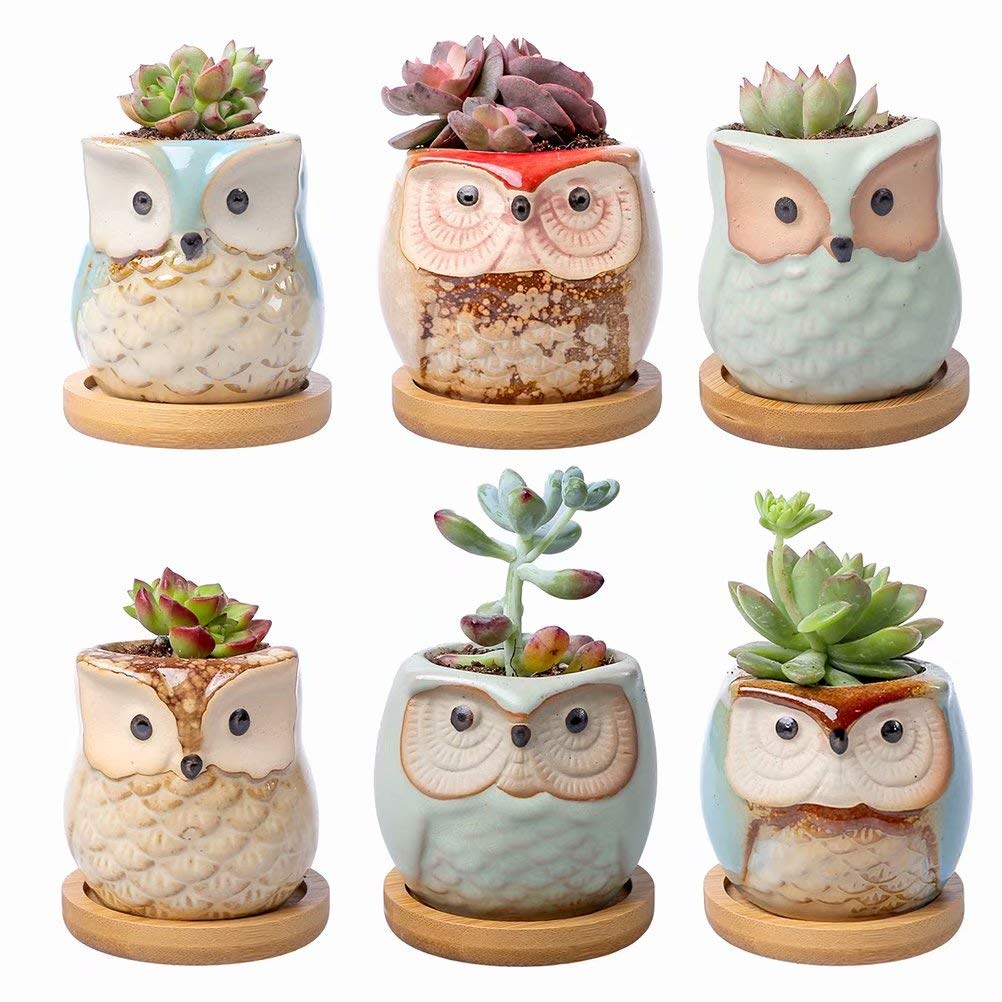 Owl Planter Pots for Succulents,Ceramic Cactus Flower Pots with Bamboo Tray Pack of 6 Home Office Decor