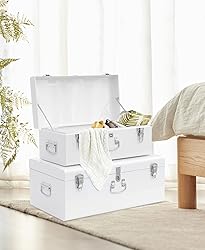 Vixdonos Decorative Large Metal Box Storage Trunk