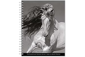 The BrownTrout Portrait Series: The Noble Horse | 2024 6 x 7.75 Inch Spiral-Bound Wire-O Weekly Engagement Planner Calendar | New Full-Color Image Every Week | Pets Equestrian