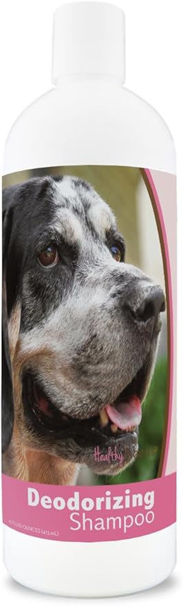 redbone coonhound hypoallergenic