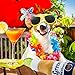 Haute Diggity Dog Grrrona Beer Bottle, Plush Designer Dog Toys with Interactive Squeaker, Stimulating Pet Enrichment, Machine-Washable & Safe Materials for All Breeds, Size Medium