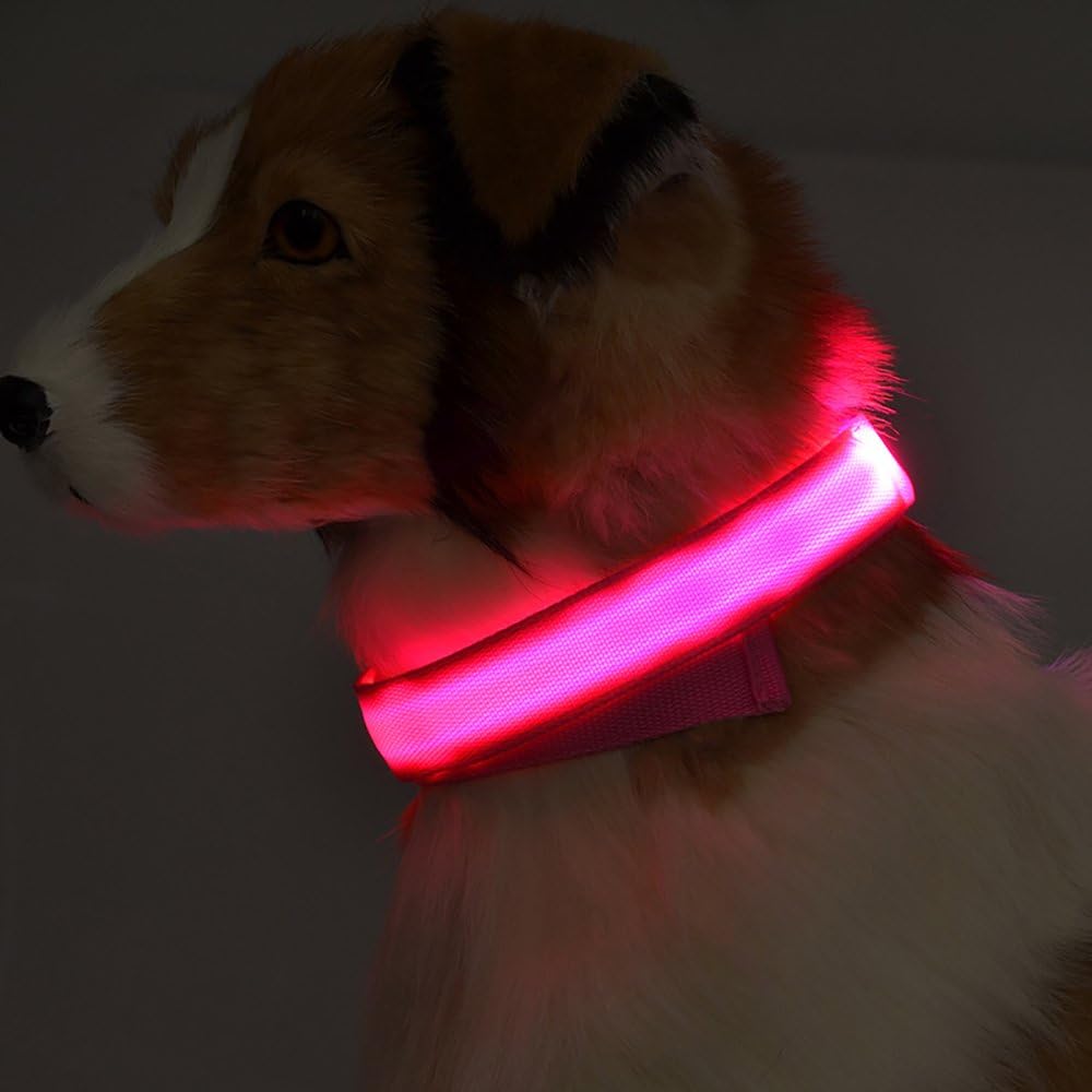 MS.CLEO LED Dog Collar with USB Rechargeable, Walking Safety at Night, No Hassle with Replacing Batteries