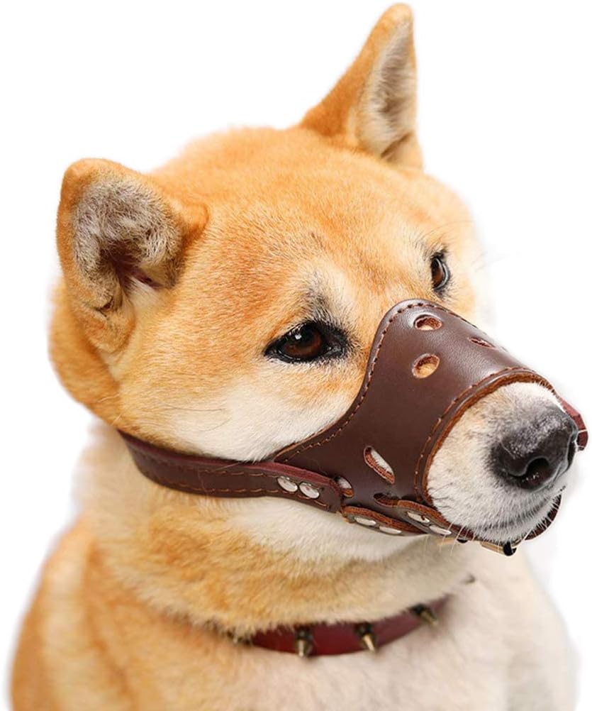 small dog muzzle