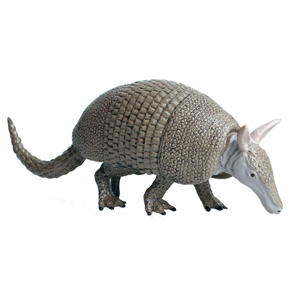 JOKFEICE Realistic Animal Figures Armadillo Figurines, Science Project, Cake Topper, Early Educational Toys Birthday for Toddlers Kids Age 3 4 5