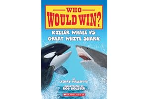 Who Would Win? Killer Whale vs. Great White Shark
