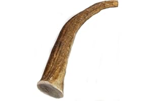 Big Dog Antler Chews Elk Antler Dog Chew, Extra Large Tine, 8-12 inches, XL - Great for Large Dogs and Puppies