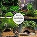 SunGrow Coco Shrimp Cave, 5-inches Wide by 3-inches Tall, Coco Hut, Comfortable Hideout for Crustaceans, Perfect Breeding Area, Promotes Molting and Breeding, Aquarium Decorthumb 3