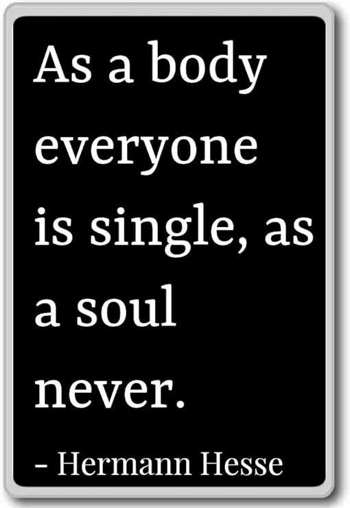 Als Korper Alle Ist Einzige Als Seele Nie Hermann Hesse Zitat Kuhlschrankmagnet Schwarz Amazon De Kuche Haushalt