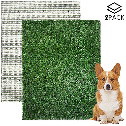 outdoor dog pee turf