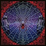 Trick or Treat: Best of the String Cheese Incident