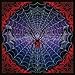 Trick or Treat: Best of the String Cheese Incident