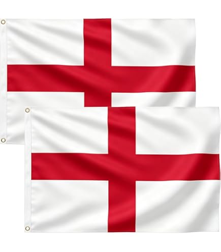 Amazon.com : Flag Free France 1940-1944, Unique Design Print