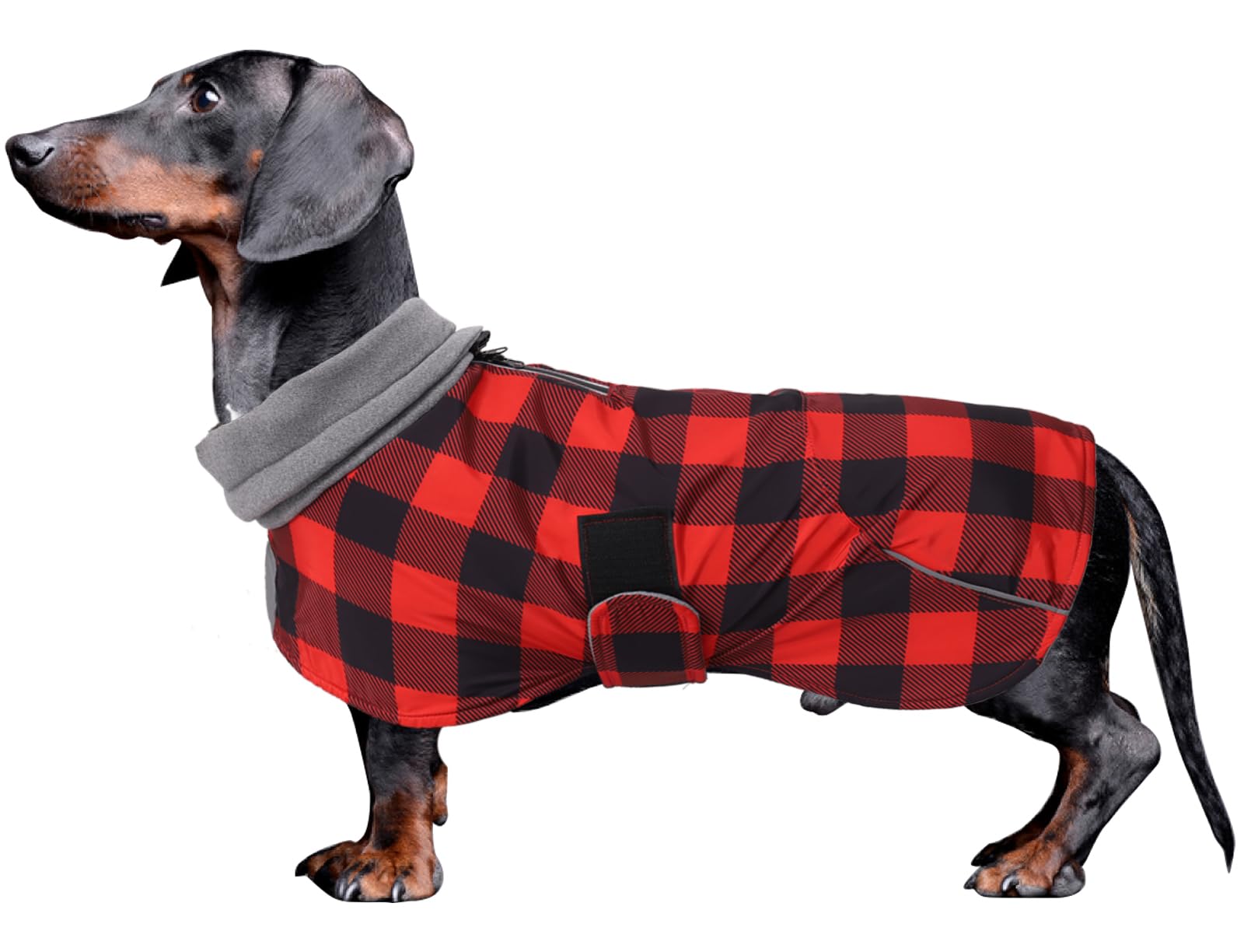 Dachshund Coats Waterproof Perfect for Dachshunds Sausage Weiner Dog Winter Coat with Padded Fleece Puppy Snowsuit with Adjustable Bands Reflective Stripe - PlaidRed - M