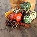 Factory Direct Craft Artificial Autumn Gourds, Pumpkins and Natural Pine Cones - Fall Decorating Kit