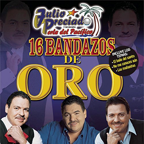 Julio Preciado - 16 BANDAZOS DE ORO - Zortam Music