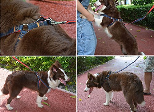 lifepul easy harness