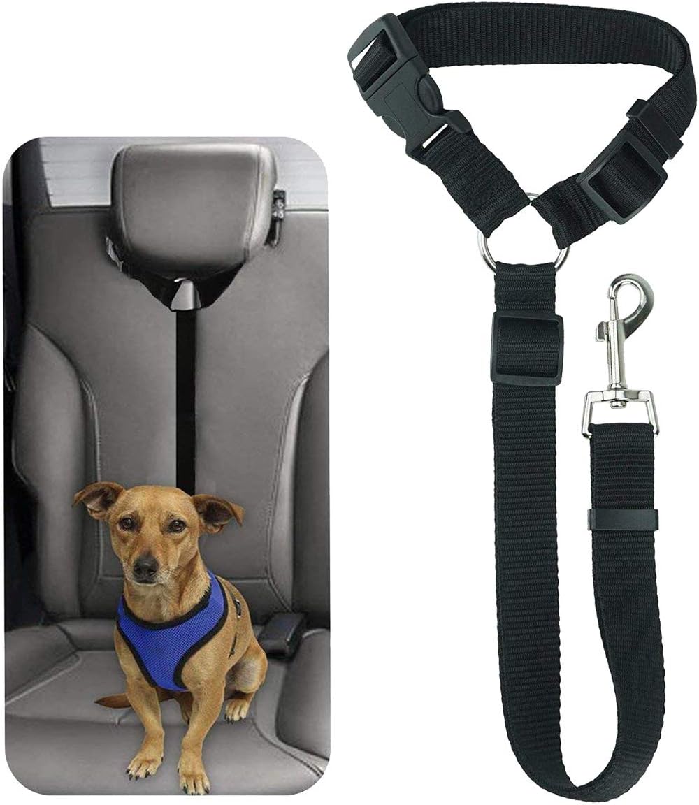 BisLinks Chien Ceinture de sécurité pour Voiture Harnais de sécurité de retenue Laisse Solide BisLinks Chien Ceinture de sécurité pour Voiture Harnais de sécurité de retenue Laisse Solide
