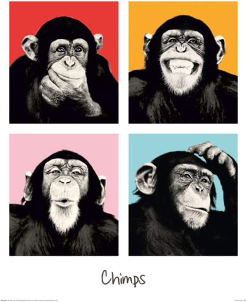 Wizard Chimps Chimpanzees Pop Art Funny Humorous Cool Wall Decor Art Print Poster 16x20