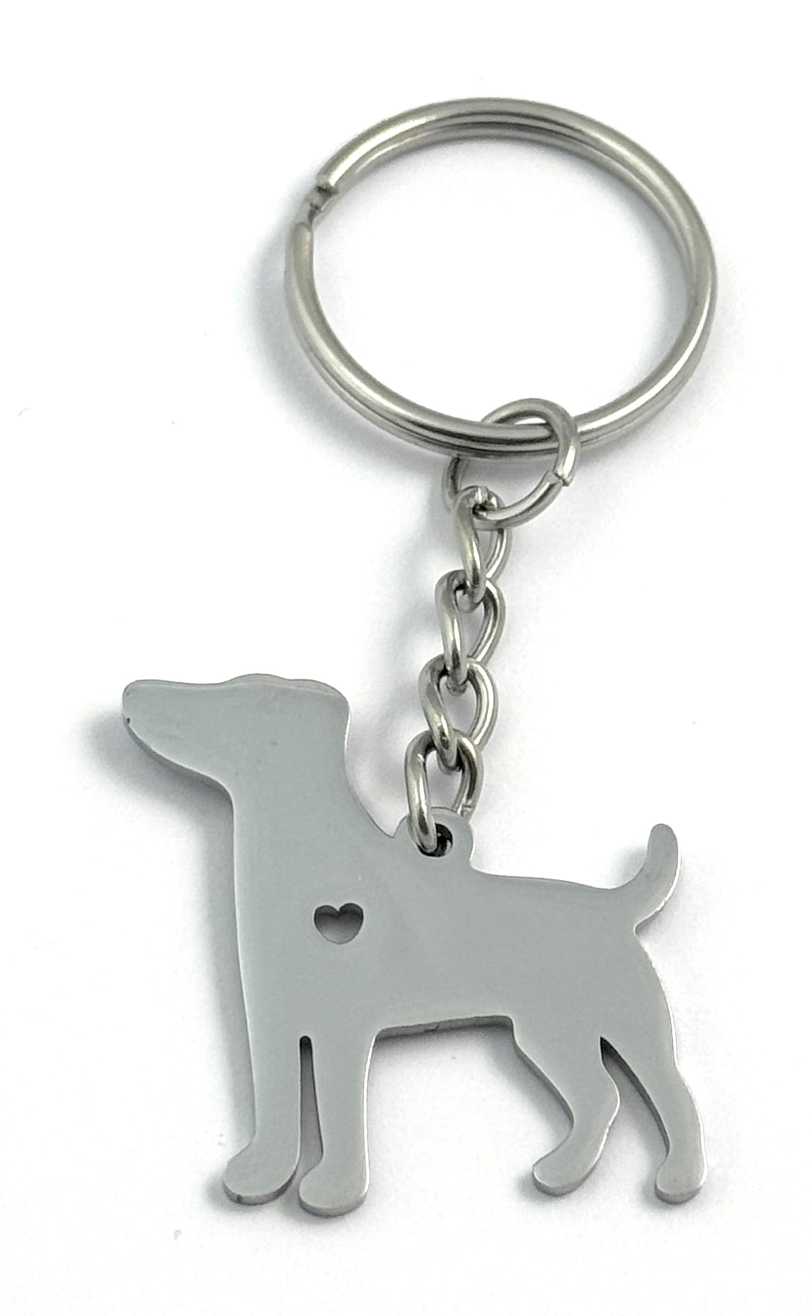 FizzyButton Gifts Jack Russell Terrier Puppy Dog Keyring Key Ring with Stainless Steel Silhouette Charm and Turquoise Gift Box