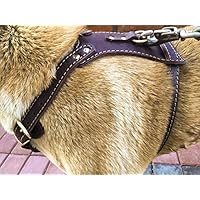 OCSOSO Durable Finest Brown Genuine Leather Dog Vest Harness Safety Dog Leather Harness Brass Plated for Medium Or Large Dogs 33.5"-35" Chest with Dog Leash Hook