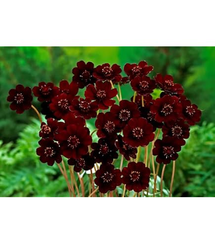 gloves for gardening roses Long Pruning Gloves