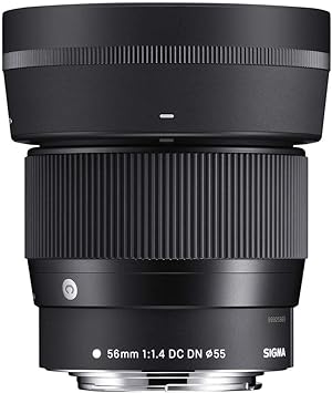 Amazon Com Sigma 56mm F 1 4 Dc Dn Contemporary Lens For Leica L Camera Photo