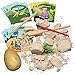 Prextex Dinosaur Excavation Kit with 12 Cute Dinosaur Coloring Books