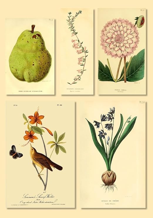 Download Art mural plage For Free