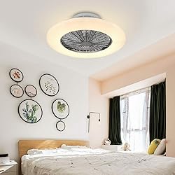DLLT Ceiling Fan with Led Lights, 20'' Modern