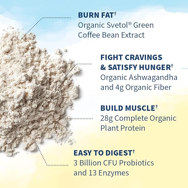 GARDEN OF LIFE RAW ORGANIC FIT VANILLA FLAVOR VEGAN PROTEIN POWDER – 28G PLANT BASED POWDER FOR WEIGHT MANAGEMENT, RAW PROTEIN, PROBIOTICS & FIBER, NON-GMO, GLUTEN-FREE, VEGAN, 20 SERVINGS
