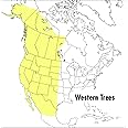 A Peterson Field Guide To Western Trees: Western United States and Canada (Peterson Field Guides)