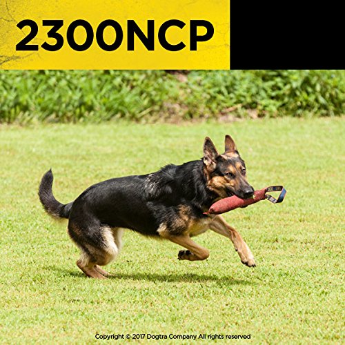 Dogtra 1 Dog Advance Training Collar