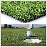 Golf Putting Green Turf