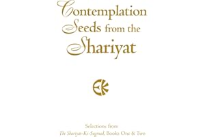 Contemplation Seeds from the Shariyat