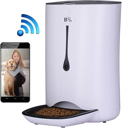 name of tintin's dog