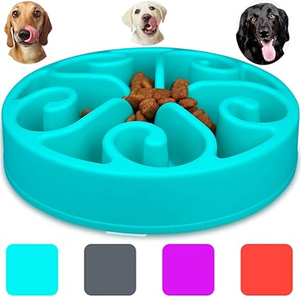 Pet Supplies Wangstar Slow Pet Bowl Slow Feeder For Dog Cats