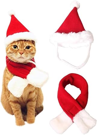 cat christmas outfits uk