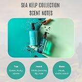 Scottish Fine Soaps Sea Kelp Shampoo 300ml for Dry Thinning Hair & Dandruff view 4