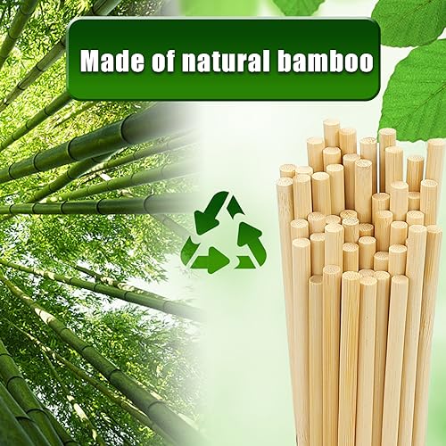 HANSGO 280PCS Candy Apple Skewers Bulk, Bamboo Sticks 8Inch Semi-point Sticks Corn Dog Sticks Lollipop Sticks Sausage Meat Fruit Chocolate Fountain Skewers