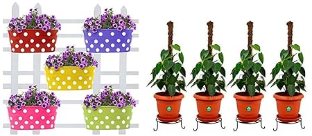 TrustBasket Dotted Oval Railing Planters (Multicolour, Pack of 5) & Trust Basket Metal Pot Stands (Black, Pack of 4) Combo
