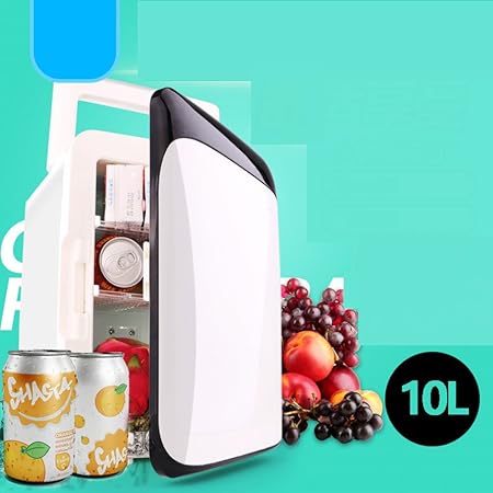 Compra SL&BX Mini refrigerador pequeño, 10l Coche Caja fría Doble ...