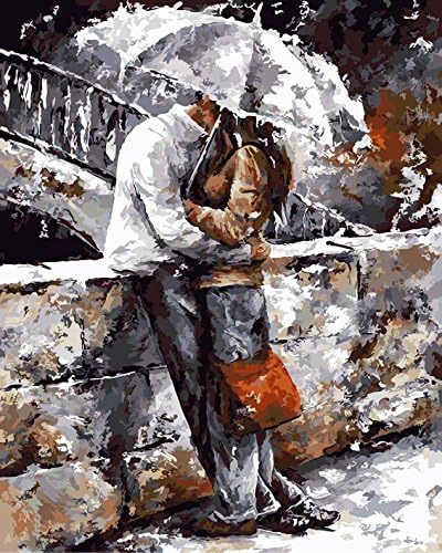 DoMyArt Paint by Number Kits - Love in The Rain 16X20 Inch