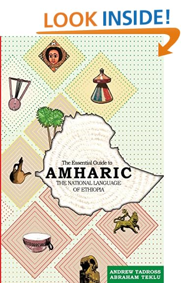 Am I small?: Ene tenese nane? Children's Picture Book English-Amharic (Bilingual Edition)