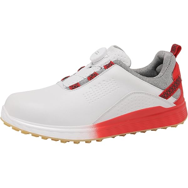 Amazon.com | Puma Men's Proadapt Delta Golf Shoe, Puma White-Gray