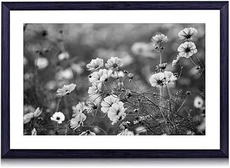 Images Na Ssl Images Amazon Com Images I 61vnz2