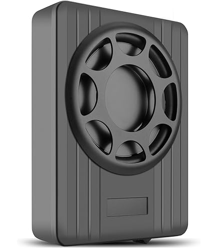 DANOM Slim Active Subwoofer 10" 100W - Under Seat Car Audio Powered Subwoofer