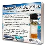 Noni Tree Seeds (Morinda Citrifolia) Non-GMO Tropical Hawaiian Noni Tree Seed - 20 Fresh Rare Heirloom Seeds in a Glass Vial with Silica Beads & Cotton For Excellent Long Term Storage