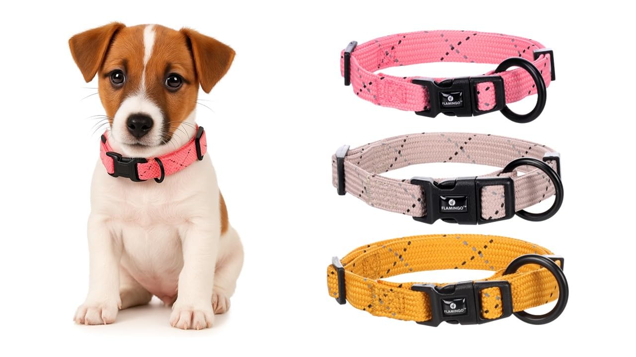 Flamingo Dog Collar Puppy Dolly Pink S 30-45cm 15mm