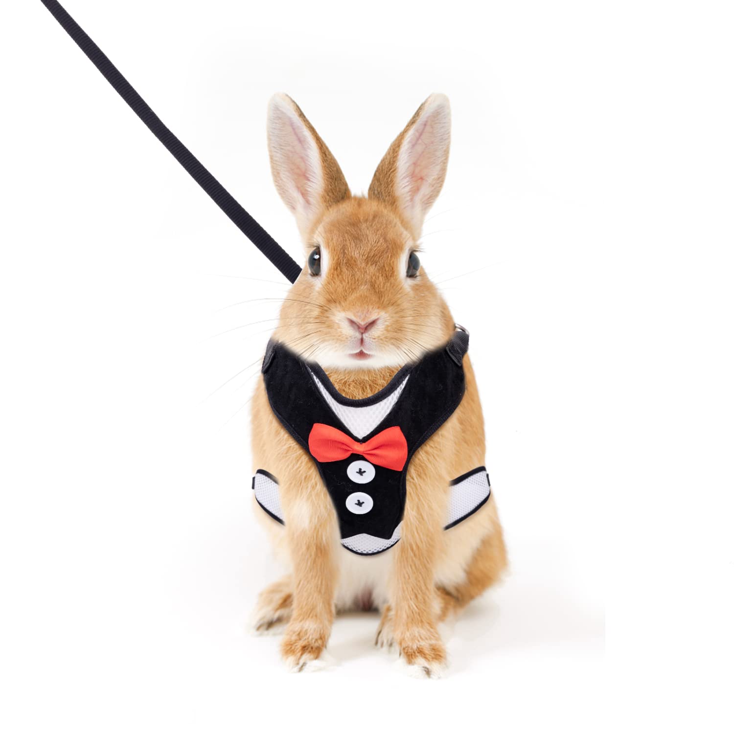 Nobleza Rabbit harness and lead set, Bow Tie Harness, Adjustable Bunny Comfortable Vest Harness and Leather Leash for Small Animals Hamsters Cats Walking. Size S.