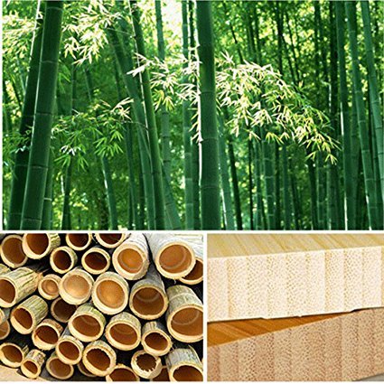 QIKE Bamboo Magnetic Knife Block Stand Holder Strong Magnetic to Ensure Security